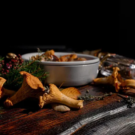 Crona Karpaty 4* Skhidnytsia