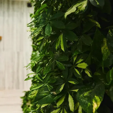 Szálloda Crona Karpaty 4*