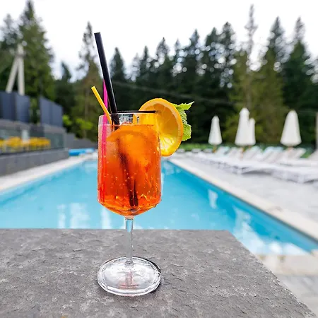 Crona Karpaty 4* Skhidnytsia